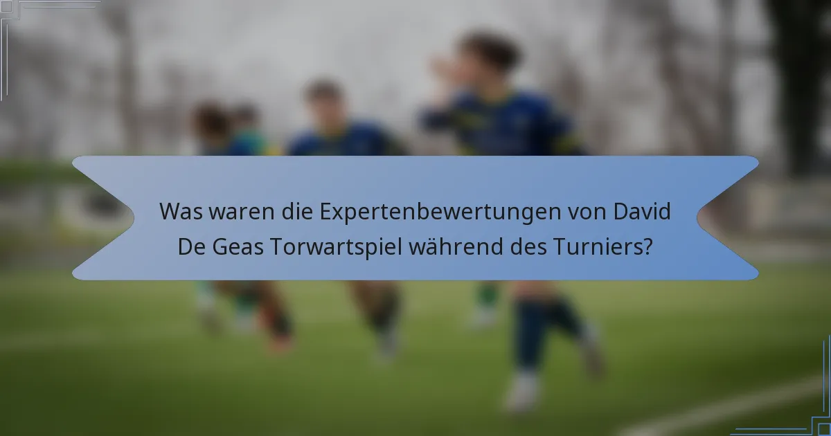 Was waren die Expertenbewertungen von David De Geas Torwartspiel während des Turniers?