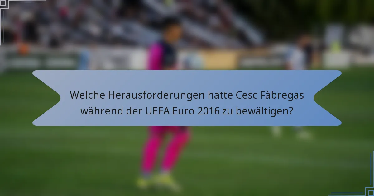 Welche Herausforderungen hatte Cesc Fàbregas während der UEFA Euro 2016 zu bewältigen?