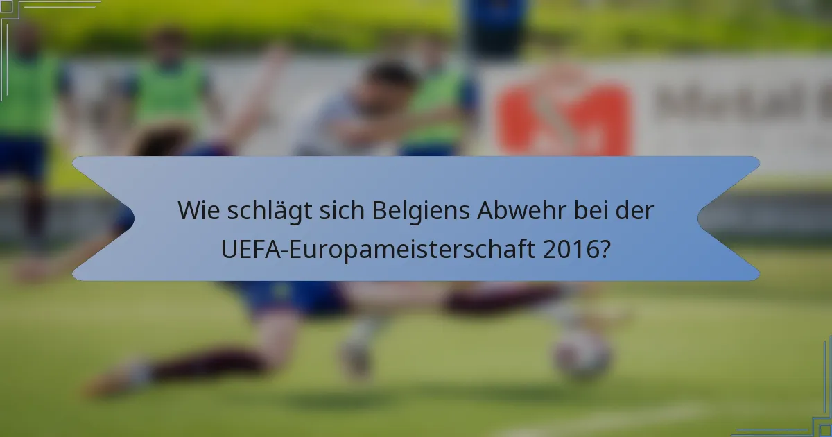 Wie schlägt sich Belgiens Abwehr bei der UEFA-Europameisterschaft 2016?