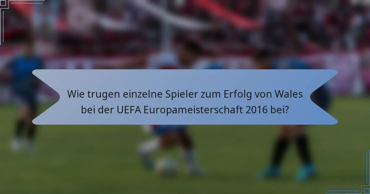 Wie trugen einzelne Spieler zum Erfolg von Wales bei der UEFA Europameisterschaft 2016 bei?